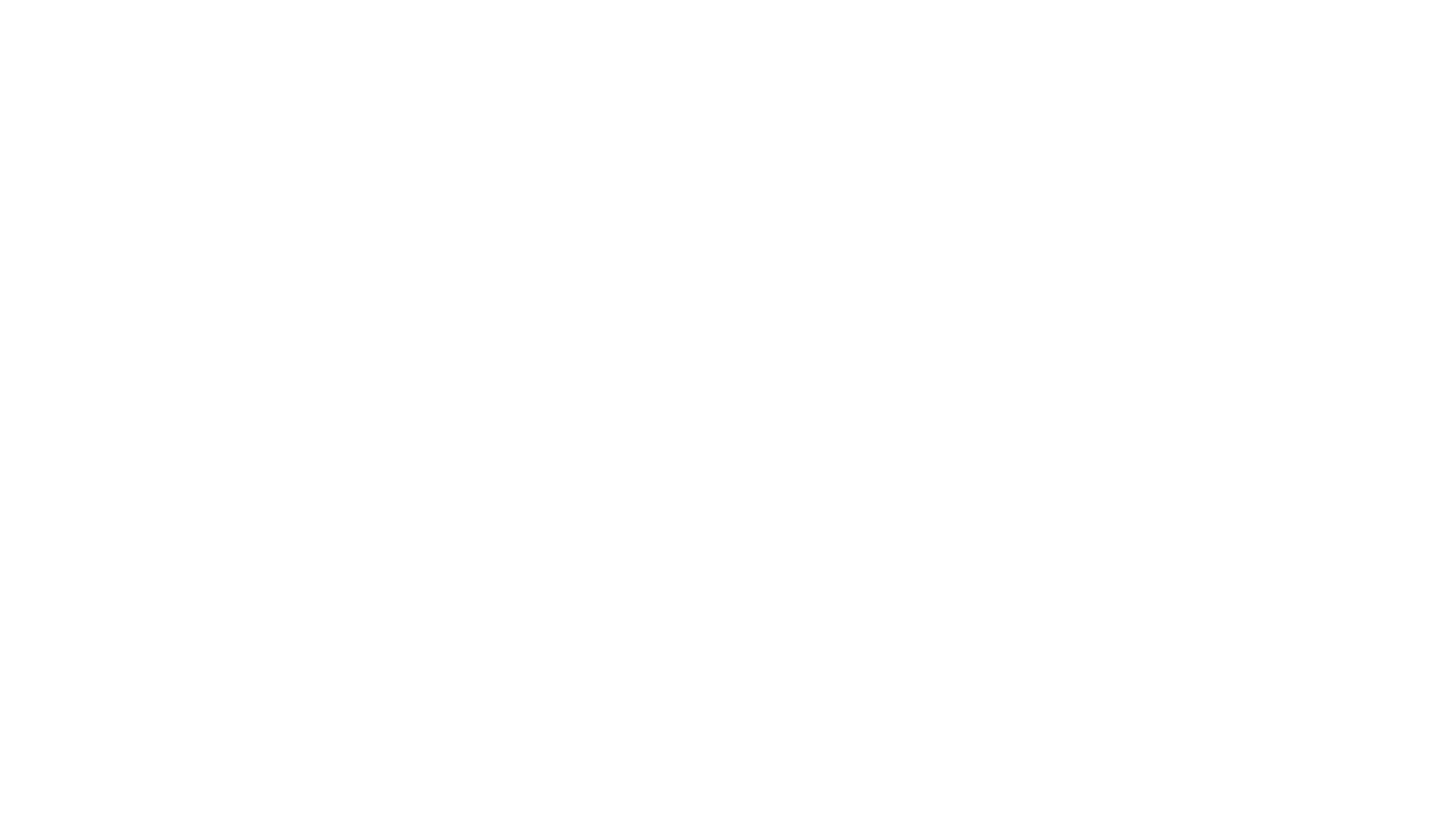 Nino Brothers Janitorial Services